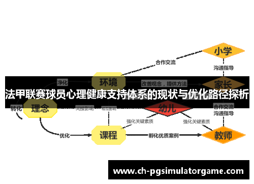 法甲联赛球员心理健康支持体系的现状与优化路径探析
