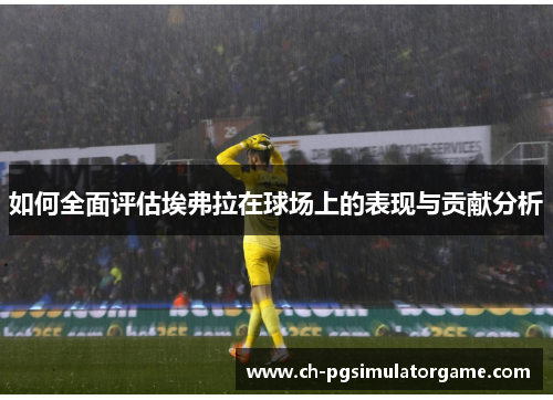 如何全面评估埃弗拉在球场上的表现与贡献分析
