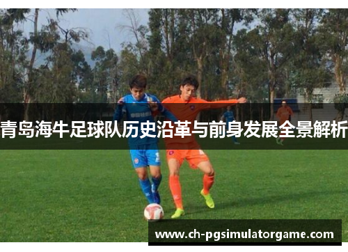 青岛海牛足球队历史沿革与前身发展全景解析