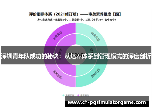深圳青年队成功的秘诀：从培养体系到管理模式的深度剖析