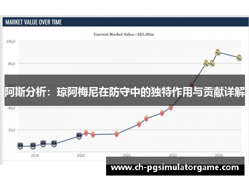 阿斯分析：琼阿梅尼在防守中的独特作用与贡献详解