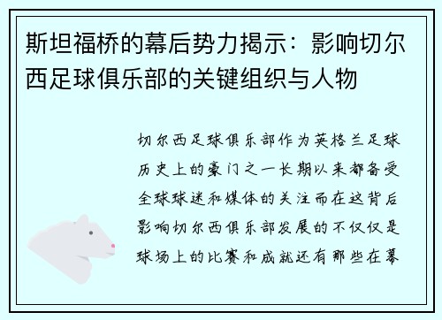 斯坦福桥的幕后势力揭示：影响切尔西足球俱乐部的关键组织与人物